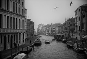 18th Feb 2023 - Venice I