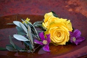 22nd Feb 2023 - Roses in a rusty bowl
