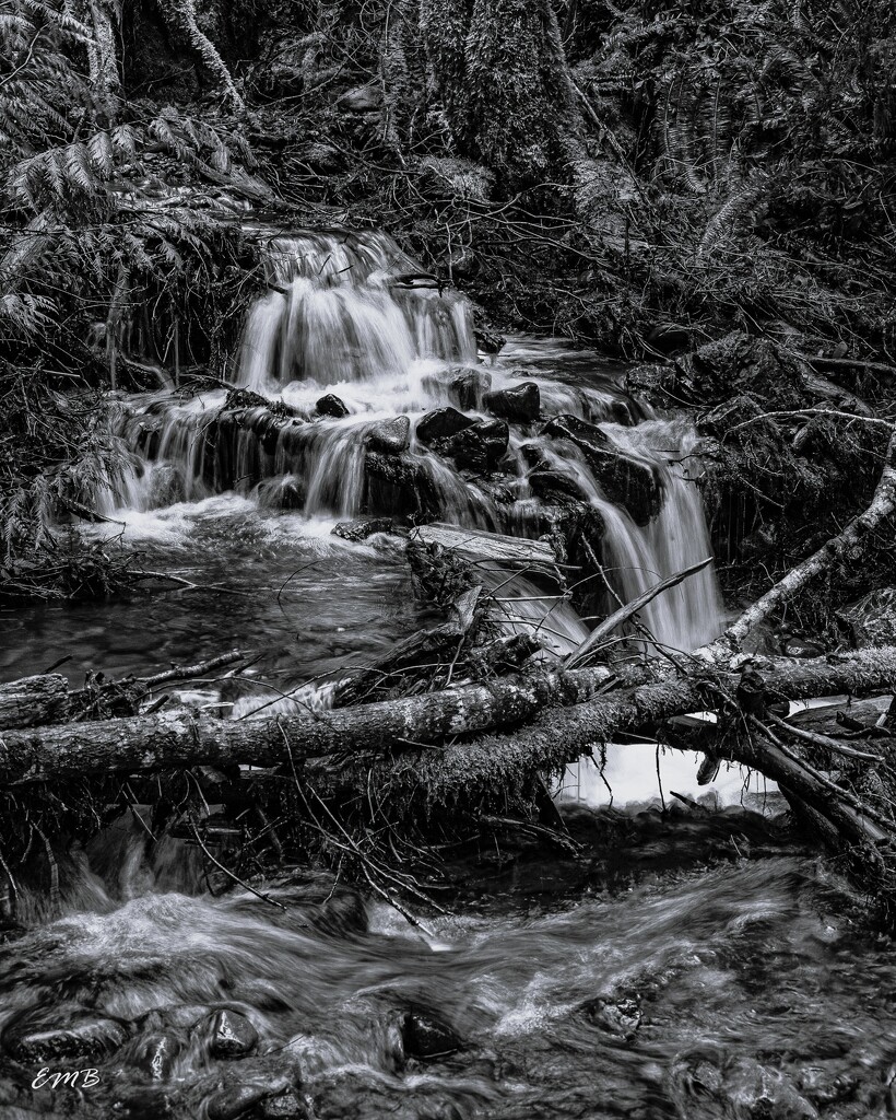 Waterfall with fallen tree  by theredcamera