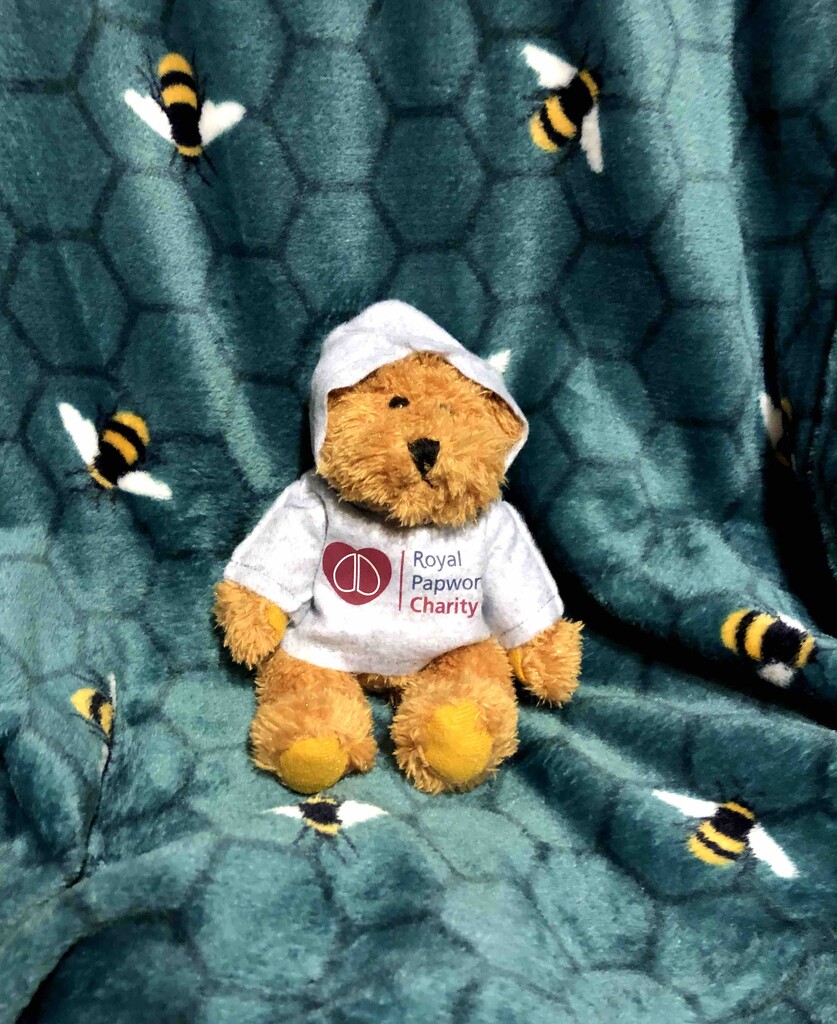 Royal Papworth Teddy Bear by arkensiel