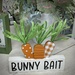 Just as it says, "BUNNY BAIT". by essiesue