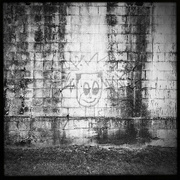21st Feb 2022 - Graffiti King | Black & White