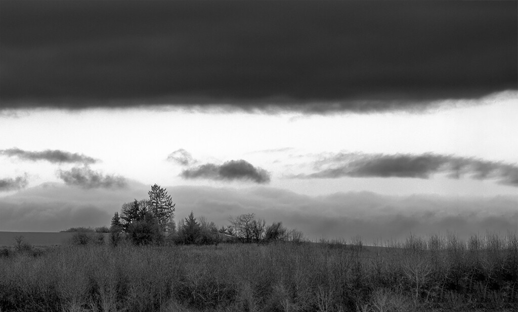 Gray Skies by granagringa