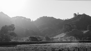 22nd Feb 2023 - Taupiri Landscape