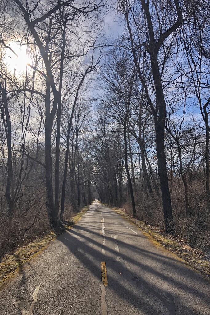 Nature Trail - Color version by lsquared