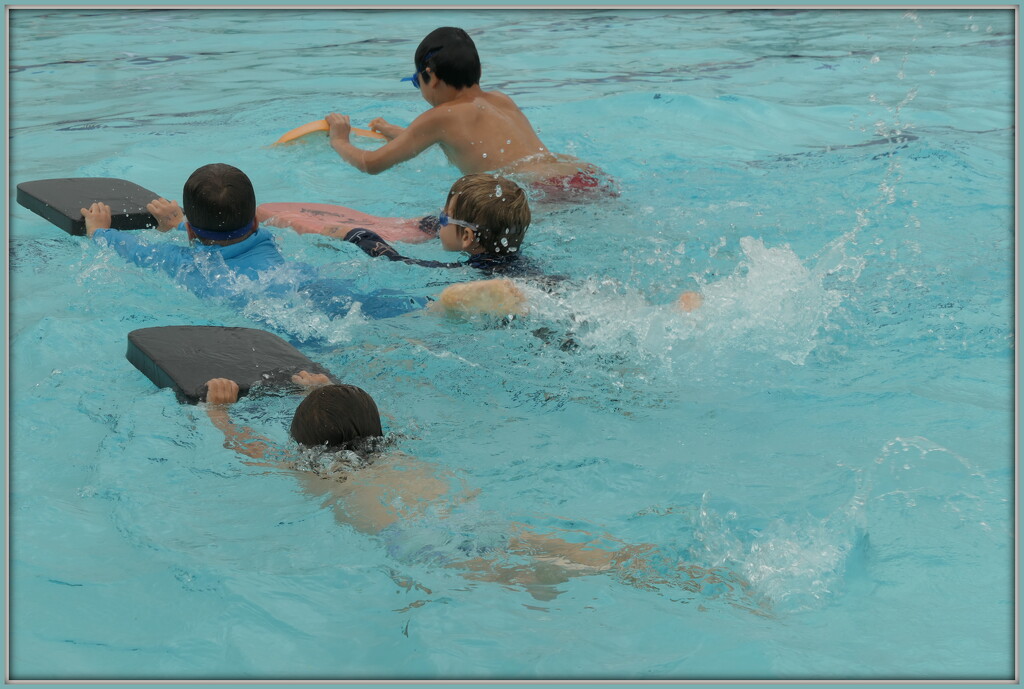 Junior Swimming Sports by dide