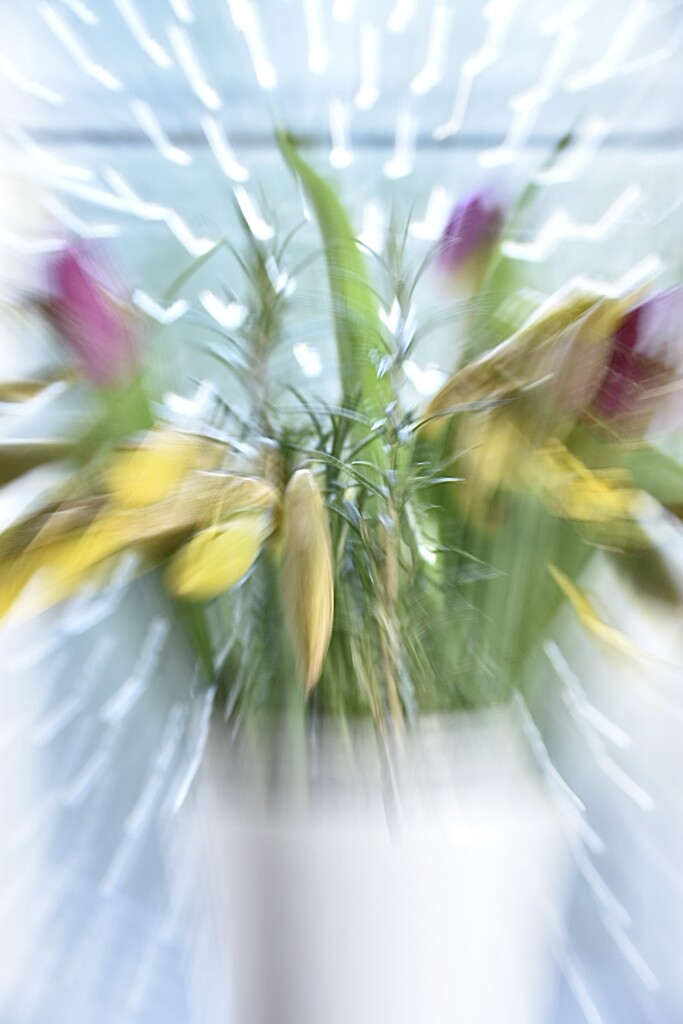 Zoom burst in spring by wakelys