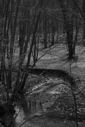 18th Feb 2023 - Along Knob Hill Trail