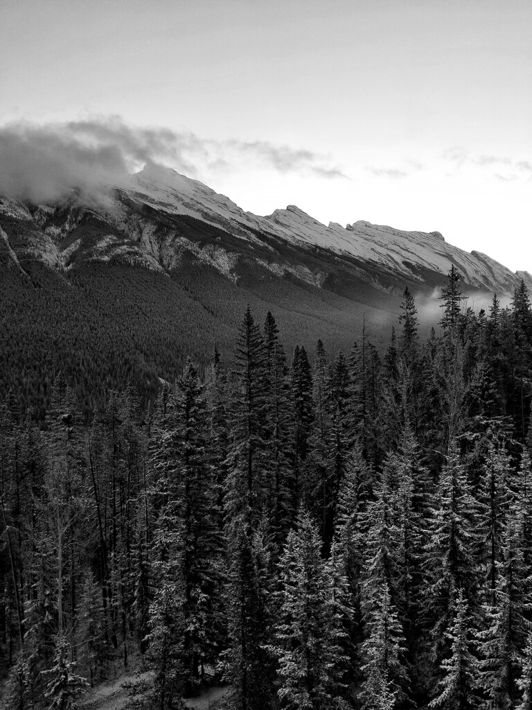 View from the Rimrock Hotel, Banff by ljmanning