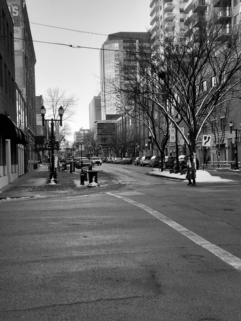 Edmonton In Black and White....The Promenade  by bkbinthecity