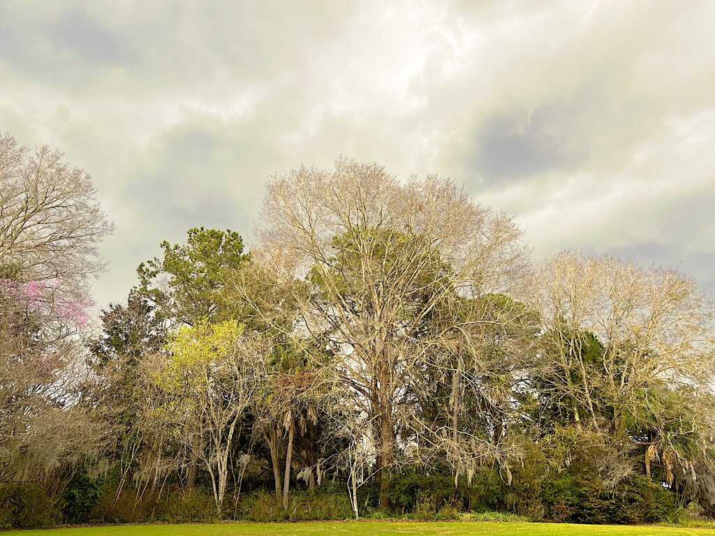 Special afternoon light with approaching rain  by congaree