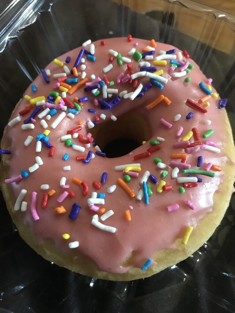 vegan donuts  by annymalla