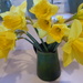 picked my first garden daffodils by snowy