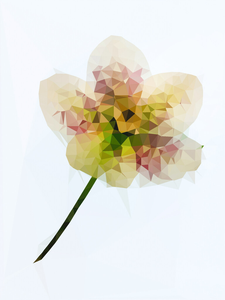 Abstract Hellebore by jlmather