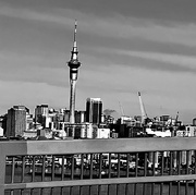 25th Feb 2023 - Taken while travelling over the Auckland Harbour Bridge
