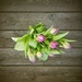 Tulips by helstor365