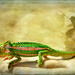 My pet chameleon by ludwigsdiana