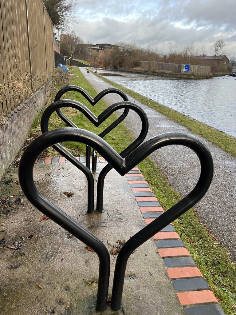 Lovely cycle racks by tinley23