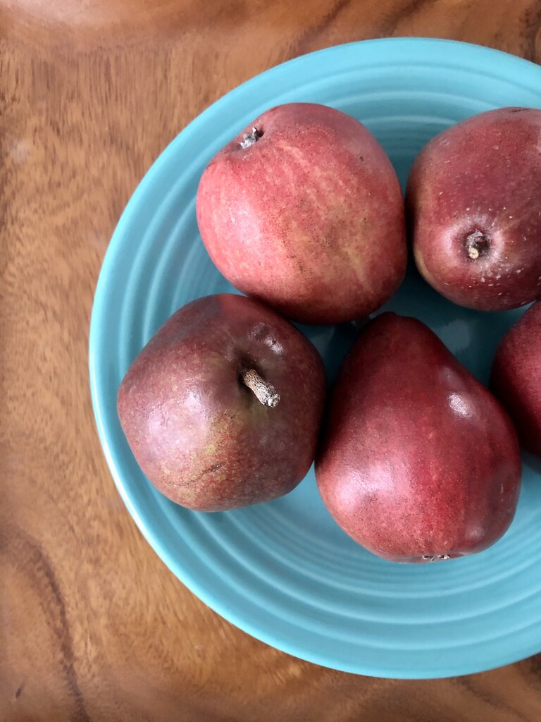 Pears by loweygrace