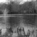 Fountain At the Park by grammyn