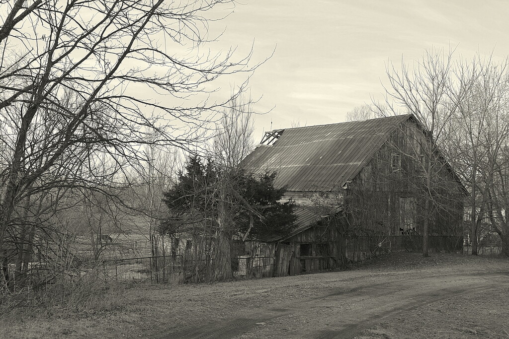 The Barn on the Trail by genealogygenie