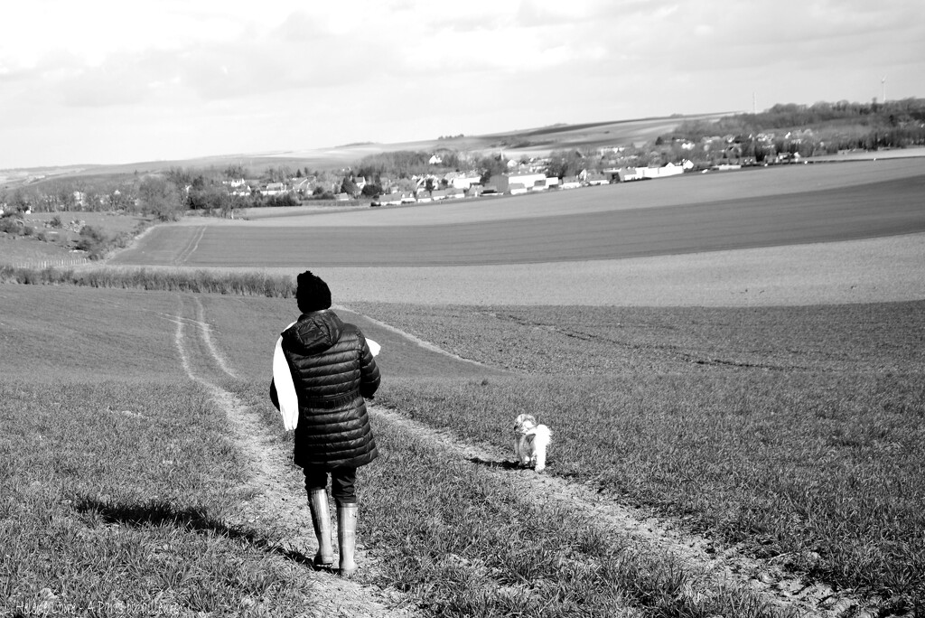 a walk with Romeo by parisouailleurs