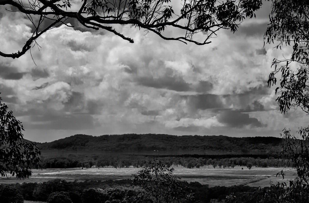Landscape by koalagardens