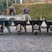 All lined up……..four wheelbarrows. by happypat