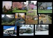 25th Feb 2023 - Seasons at home