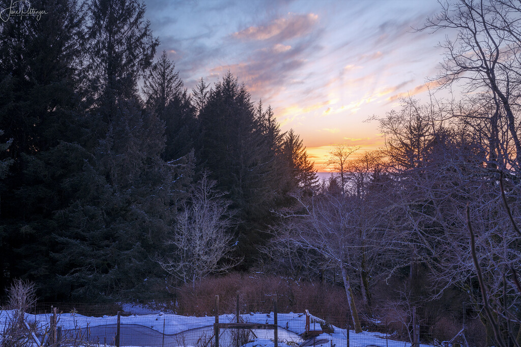 Snowy Sunset  by jgpittenger