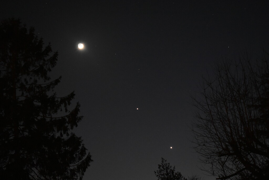 The moon, Jupiter and Venus aligned! by anitaw