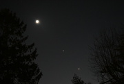 24th Feb 2023 - The moon, Jupiter and Venus aligned!