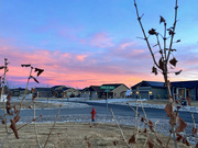13th Feb 2023 - Hidalgo Sunrise, Feb 13, 2023