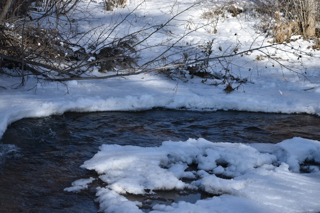 A Very Cold Montana Creek by bjywamer