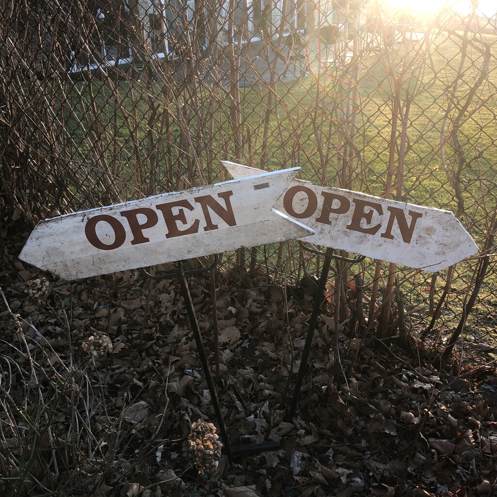 Open by lsquared