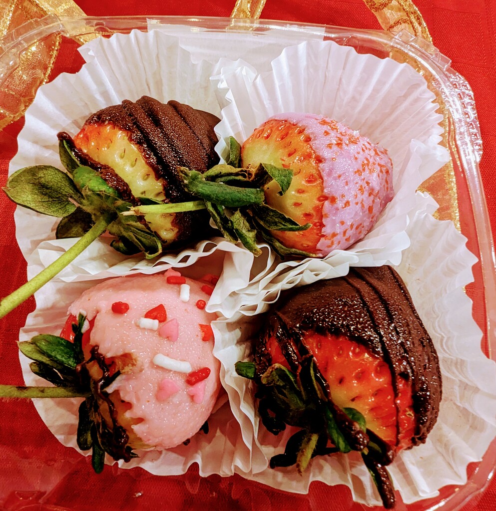 Chocolate Covered Strawberries by harbie