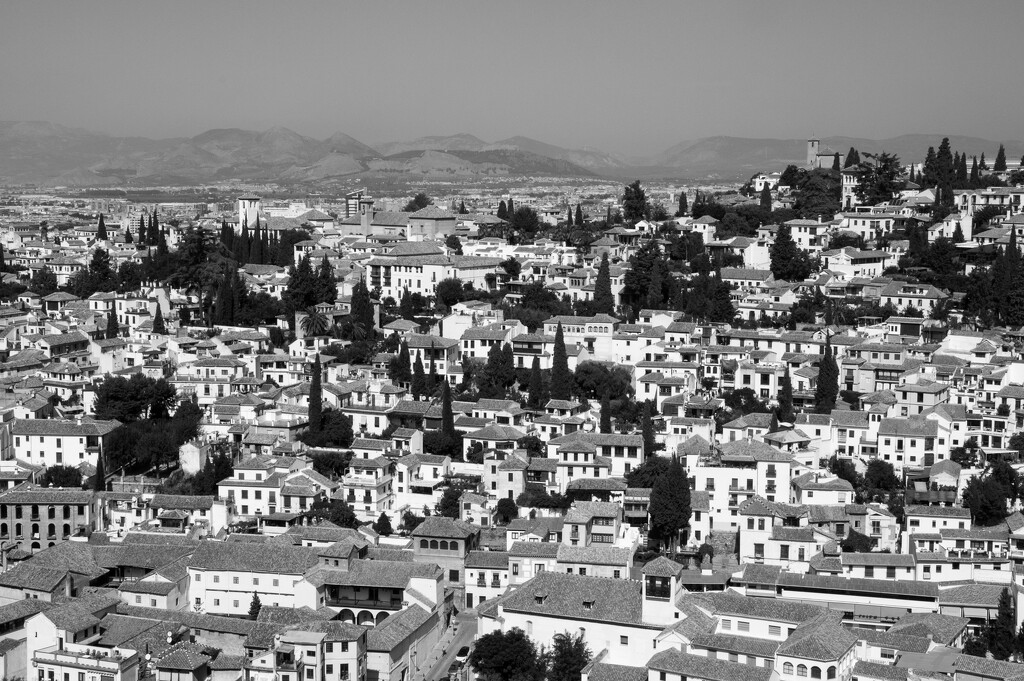 Granada viewed from the Alhambra  by brigette