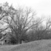 Rural Arkansas by milaniet