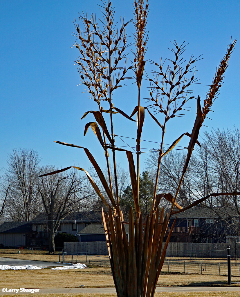 Corn Sculpture by larrysphotos