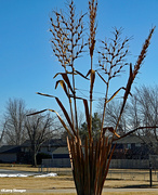 26th Feb 2023 - Corn Sculpture