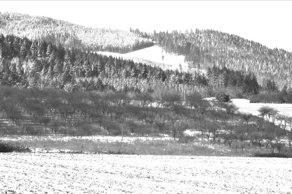 Oregon Hillside in February by granagringa