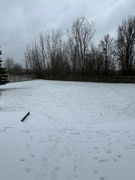 21st Feb 2023 - More snow
