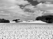 26th Feb 2023 - Winter fields