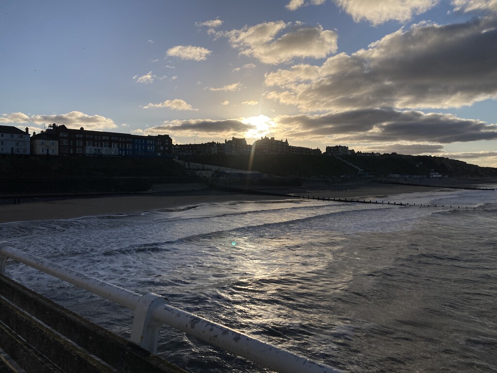 Sunny Cromer  by elainepenney