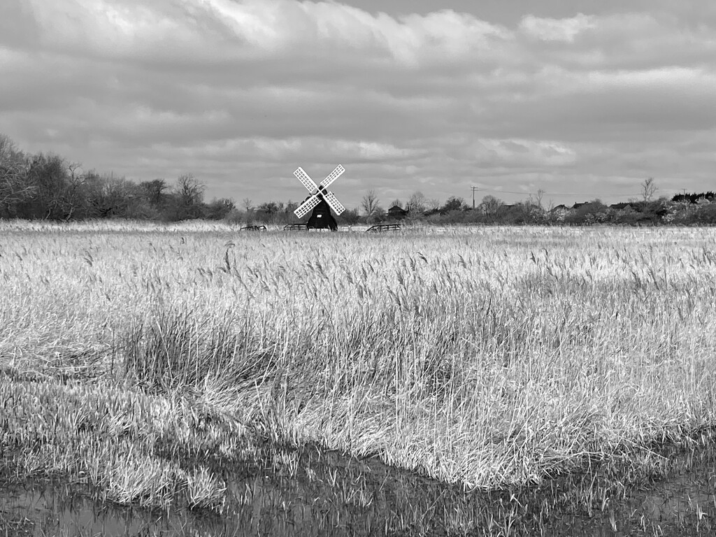 Windmill in the fens by lizgooster