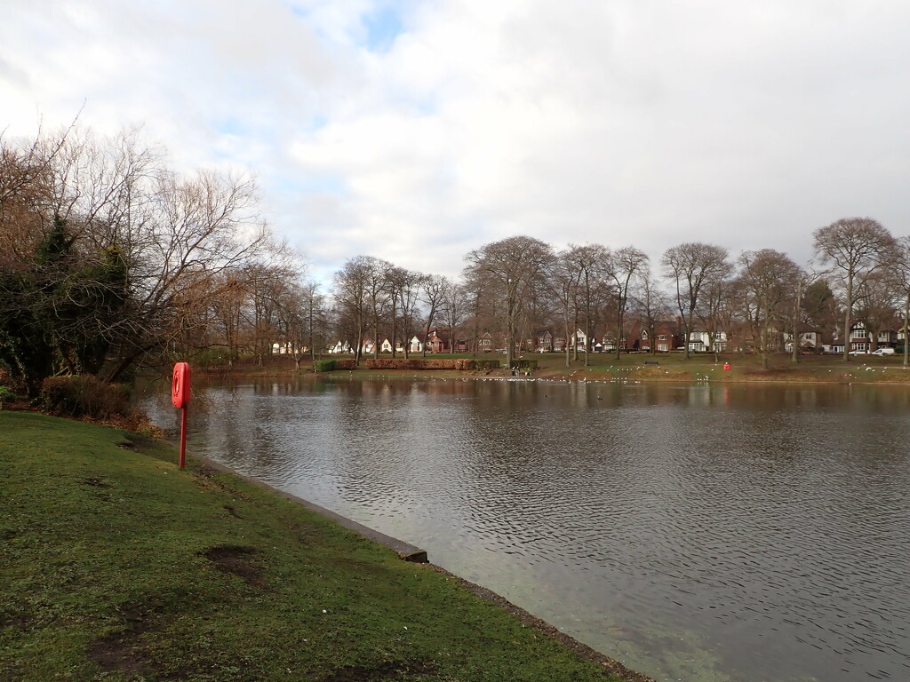 A brighter interlude at Swanhurst Park Birmingham by speedwell