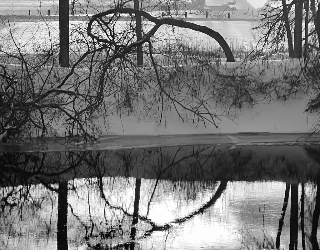 circle along the river (b&w, day27) by amyk