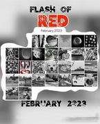 9th Feb 2022 - Flash of Red 2023