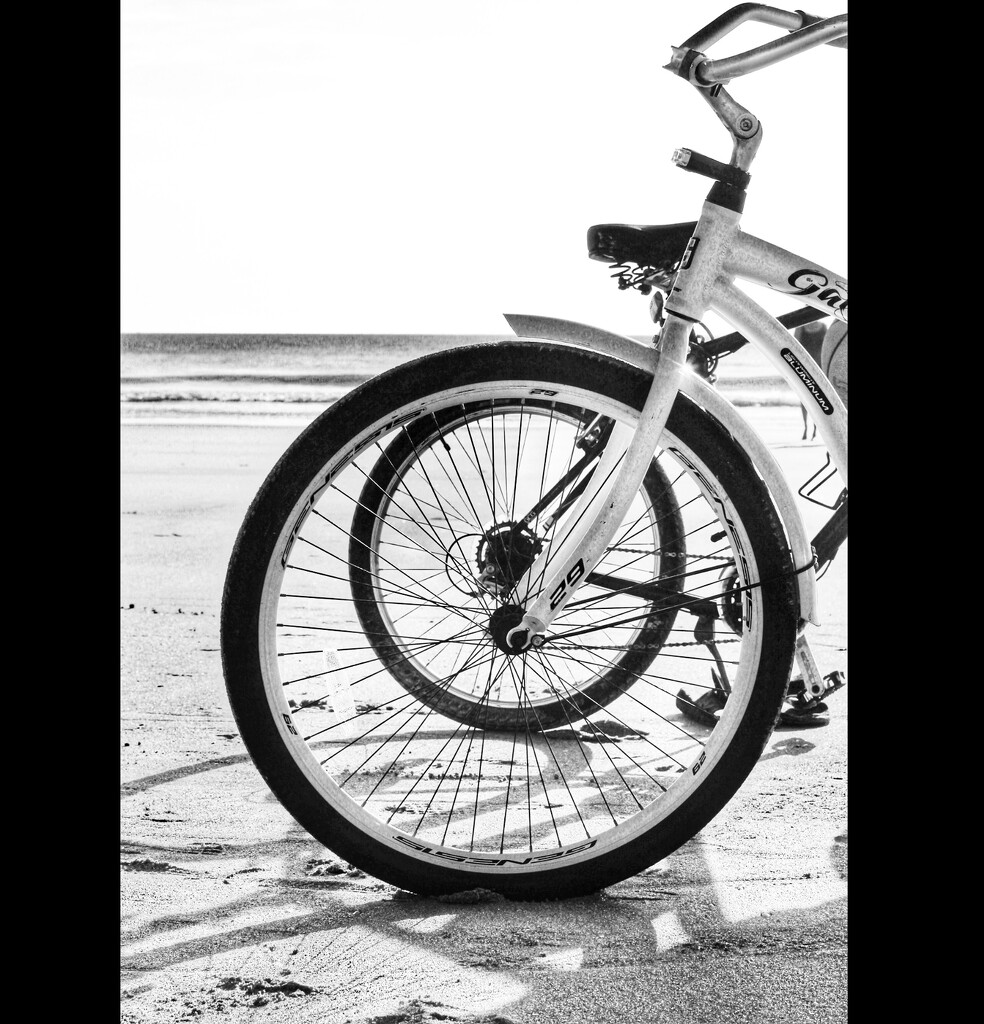 Bike Circles by joemuli
