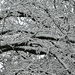 Fractal Oak Branches by ososki